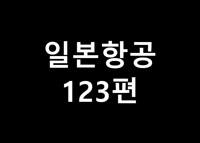 일본항공 123편 여행의 편안함은 어떻게 될까