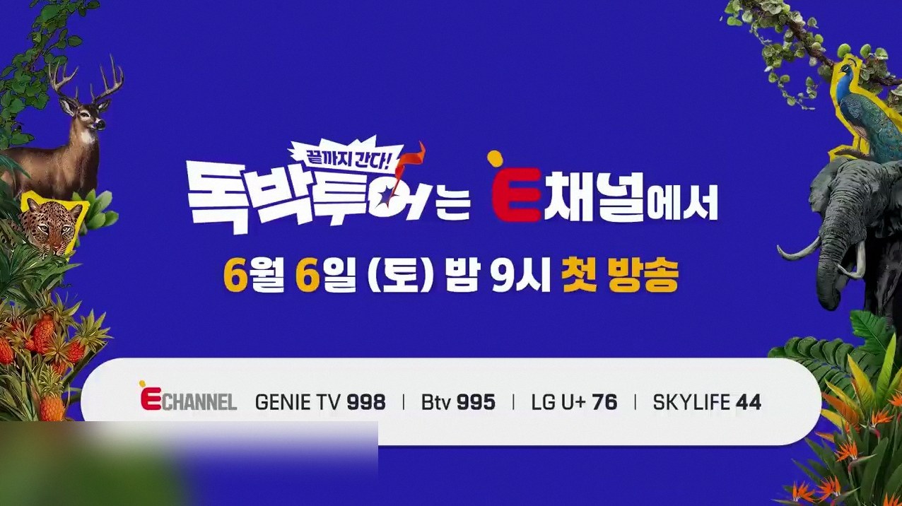 독박투어 교토 몇화 4